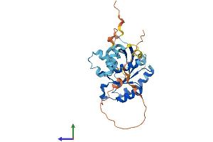 RAB40B Protein (AA 1-278) (His tag)