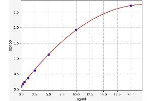 PDK1 ELISA Kit