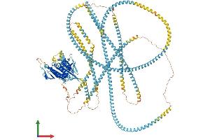 Protein Structure (PS) image for Kinesin Family Member 15 (KIF15) (AA 1-1388) protein (His tag) (ABIN7554310)