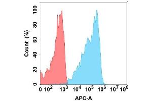 Flow Cytometry (FACS) image for anti-C-Type Lectin Domain Family 2, Member D (CLEC2D) antibody (ABIN7490658)