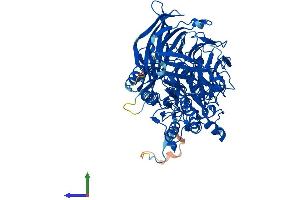 Protein Structure (PS) image for N-Acylaminoacyl-Peptide Hydrolase (APEH) (AA 1-732) protein (His tag) (ABIN7559653)