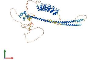 AlphaFold protein structure predicition of Mouse Recombinant Anks3 Protein, UniprotID Q9CZK6