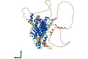 Protein Structure (PS) image for F-Box and Leucine-Rich Repeat Protein 5 (FBXL5) (AA 1-690) protein (His tag) (ABIN7564509)