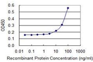 Detection limit for recombinant GST tagged SEPT2 is 3 ng/ml as a capture antibody. (Septin 2 Antikörper  (AA 1-371))