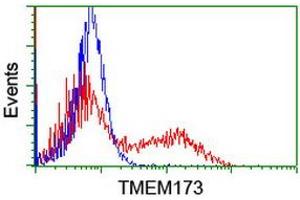 Image no. 2 for anti-Transmembrane Protein 173 (TMEM173) antibody (ABIN1501423) (STING/TMEM173 Antikörper)