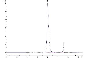 The purity of Mouse OX40/TNFRSF4/CD134 Protein is greater than 92 % as determined by SEC-HPLC. (TNFRSF4 Protein (AA 20-211) (His-Avi Tag))