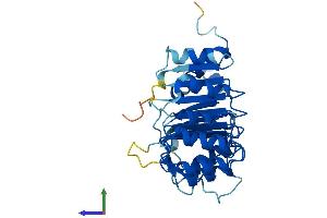 Protein Structure (PS) image for F-Box and Leucine-Rich Repeat Protein 12 (FBXL12) (AA 1-326) protein (His tag) (ABIN7547854)