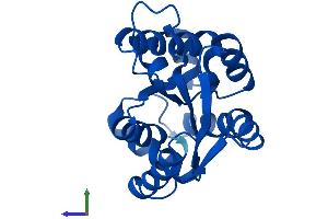 Protein Structure (PS) image for Cytidine Monophosphate (UMP-CMP) Kinase 1, Cytosolic (CMPK1) (AA 1-196) protein (His tag) (ABIN7548779)