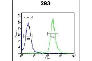 GBP7 Antibody (C-term) (ABIN651102 and ABIN2840070) flow cytometric analysis of 293 cells (right histogram) compared to a negative control cell (left histogram). (GBP7 Antikörper  (C-Term))