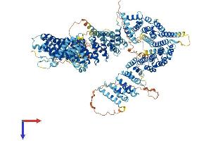 NCAPD2 Protein (AA 1-1401) (His tag)