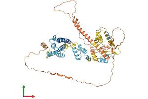 AlphaFold protein structure predicition of Mouse Recombinant Iap Protein, UniprotID P03975