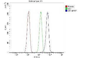 Flow Cytometry analysis of A549 cells using anti-NF1 antibody (ABIN7600195).