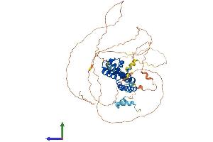 Protein Structure (PS) image for HNF1 Homeobox B (HNF1B) (AA 1-558) protein (His tag) (ABIN7563037)