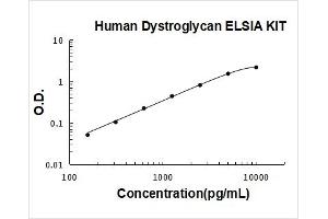 Human Dystroglycan PicoKine ELISA Kit standard curve
