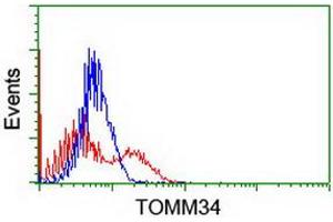 HEK293T cells transfected with either RC201083 overexpress plasmid (Red) or empty vector control plasmid (Blue) were immunostained by anti-TOMM34 antibody (ABIN2454785), and then analyzed by flow cytometry. (TOMM34 Antikörper)