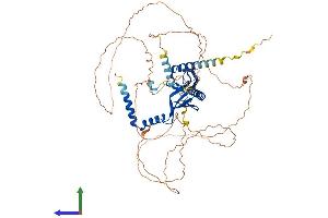 Protein Structure (PS) image for DCP1 Decapping Enzyme Homolog A (S. Cerevisiae) (DCP1A) (AA 1-602) protein (His tag) (ABIN7560100)