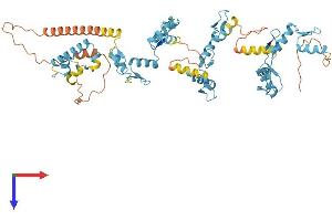 ZNF257 Protein (AA 1-563) (His tag)