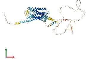Protein Structure (PS) image for G Protein-Coupled Receptor 176 (GPR176) (AA 1-515) protein (His tag) (ABIN7548055)