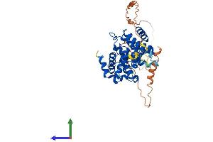 Protein Structure (PS) image for Cyclin B1 (CCNB1) (AA 1-430) protein (His tag) (ABIN7563005)