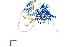 ADAD1 Protein (AA 1-619) (His tag)