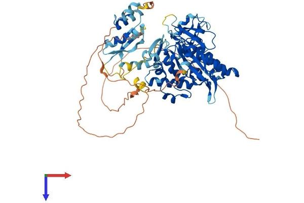 ADAD1 Protein (AA 1-619) (His tag)