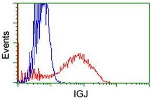 Flow Cytometry (FACS) image for anti-Immunoglobulin J Polypeptide, Linker Protein For Immunoglobulin alpha and mu Polypeptides (IGJ) antibody (ABIN1498837) (IGJ Antikörper)