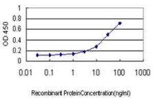 Detection limit for recombinant GST tagged GHRL is approximately 1ng/ml as a capture antibody. (Ghrelin Antikörper  (AA 1-117))
