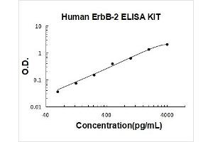 Receptor tyrosine-protein kinase erbB-2 (ErbB2/Her2) ELISA Kit
