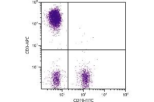 Human peripheral blood lymphocytes were stained with Mouse Anti-Human CD3-APC. (CD3 Antikörper  (Cy5))