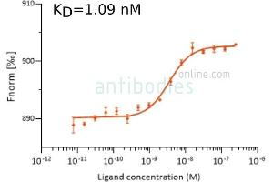 Binding Studies (Bind) image for anti-SARS-CoV-2 Spike S1 (RBD) antibody (ABIN6952546)