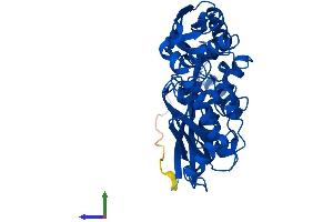 Protein Structure (PS) image for Methionine Adenosyltransferase I, alpha (MAT1A) (AA 1-395) protein (His tag) (ABIN7549308)