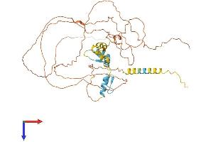 SP9 Protein (AA 1-484) (His tag)