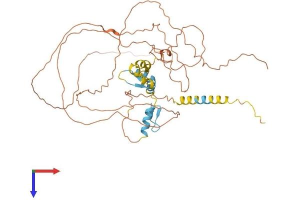 SP9 Protein (AA 1-484) (His tag)