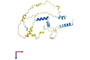MYOZ2 Protein (AA 1-264) (His tag)