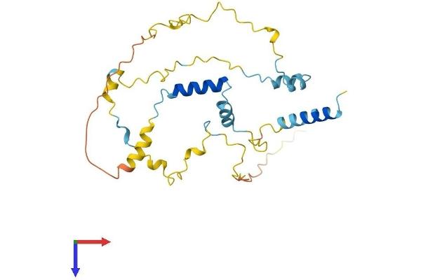 MYOZ2 Protein (AA 1-264) (His tag)
