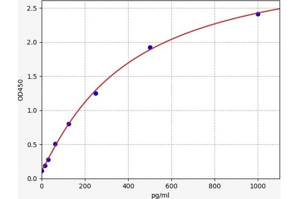 ATP5G3 ELISA Kit