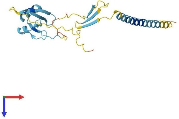 CIDEB Protein (AA 1-219) (His tag)
