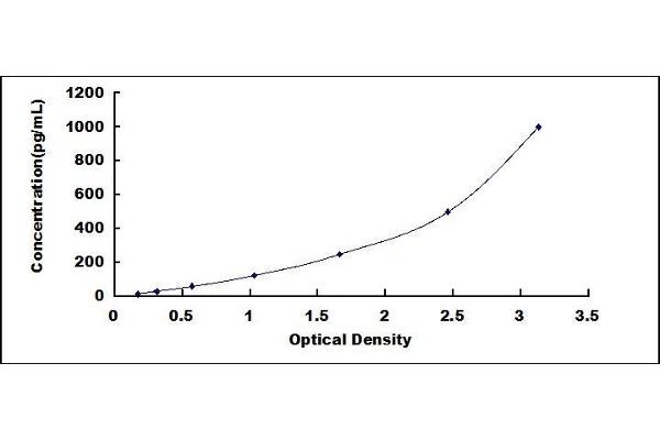 CNTF ELISA Kit