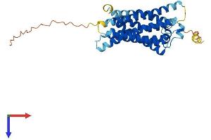 MAS1 Protein (AA 1-325) (His tag)