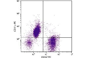 Human peripheral blood lymphocytes, monocytes, and granulocytes were stained with Mouse Anti-Human CD11c-PE.