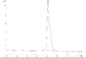 Size-exclusion chromatography-High Pressure Liquid Chromatography (SEC-HPLC) image for delta-Like 1 Homolog (Drosophila) (DLK1) (AA 24-305) protein (His tag) (ABIN7274479)