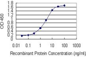 Detection limit for recombinant GST tagged SPRR4 is 0. (SPRR4 Antikörper  (AA 1-79))