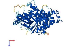 TUBG2 Protein (AA 1-451) (His tag)