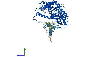 AlphaFold protein structure predicition of Human Recombinant SGPL1 Protein, UniprotID O95470