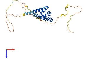 BCL10 Protein (AA 1-233) (His tag)