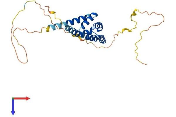 BCL10 Protein (AA 1-233) (His tag)