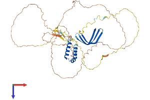 GTF2A1L Protein (AA 1-468) (His tag)