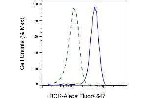 Validation of BCR knockdown using flow cytometry. (Rekombinanter BCR Antikörper)