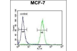 THOC7 Antibody (C-term) (ABIN1881883 and ABIN2843119) flow cytometric analysis of MCF-7 cells (right histogram) compared to a negative control cell (left histogram). (THOC7 Antikörper  (C-Term))