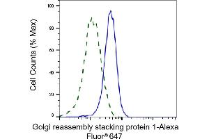 Validation of Golgi reassembly stacking protein 1 knockdown using flow cytometry. (Rekombinanter GORASP1 Antikörper)